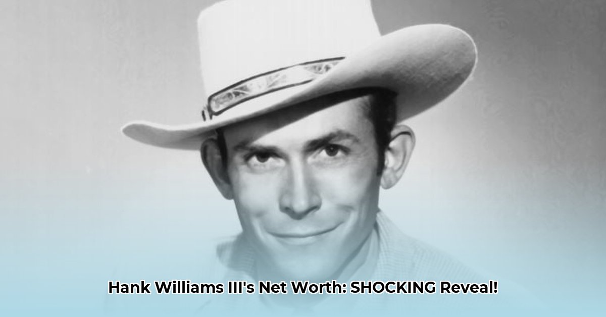 hank-williams-3-net-worth